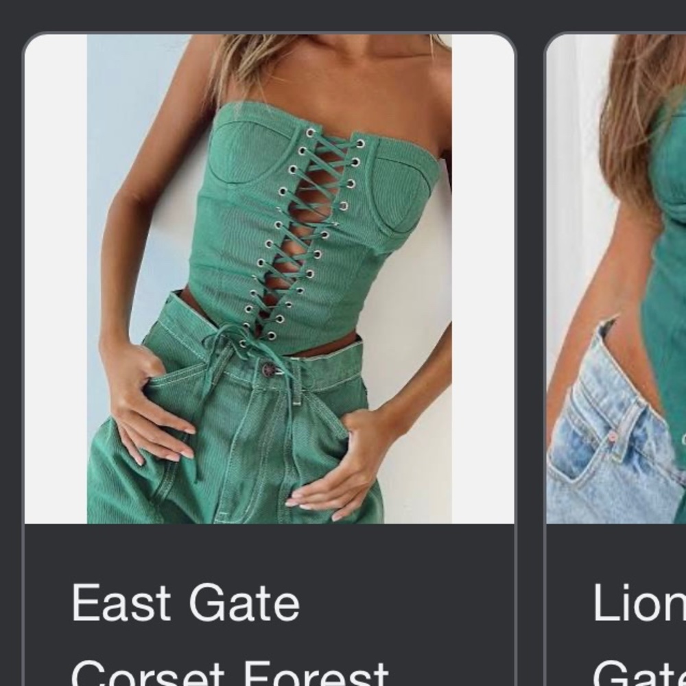 Lionness Corset Top
